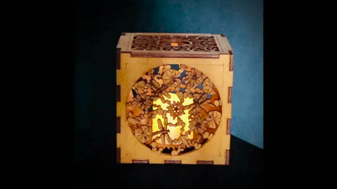 dragonfly_box-2.gif