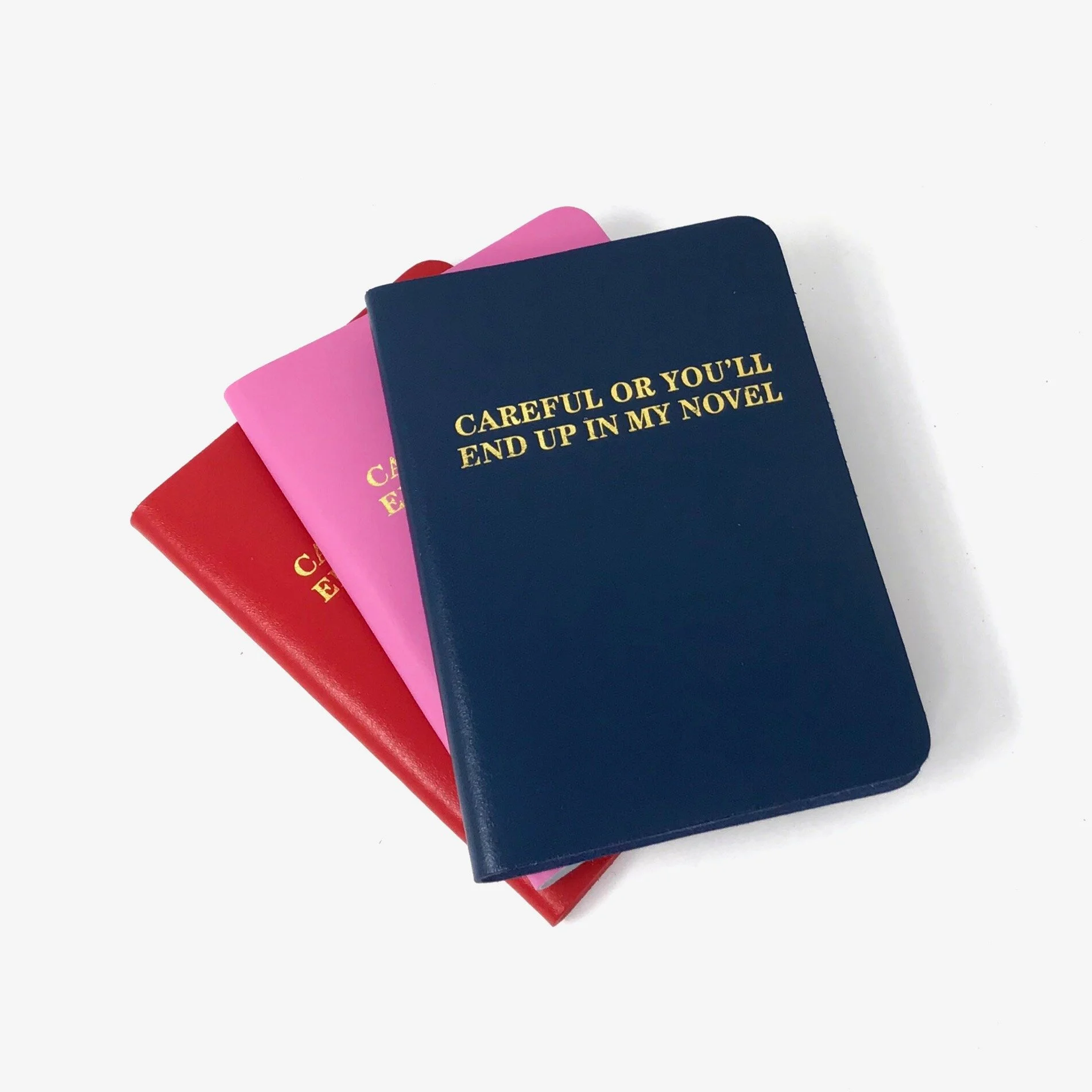 Careful Or You'll End Up In My Novel Notebook