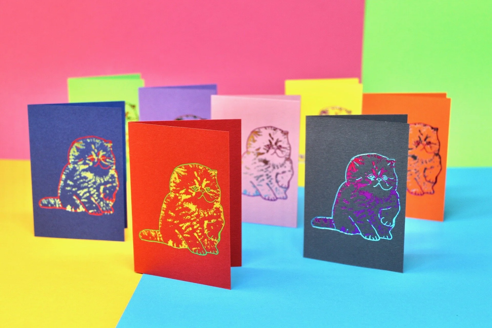 Kitten Blank Card