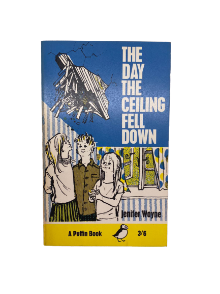The Day the Ceiling Fell Down by Jenifer Wayne