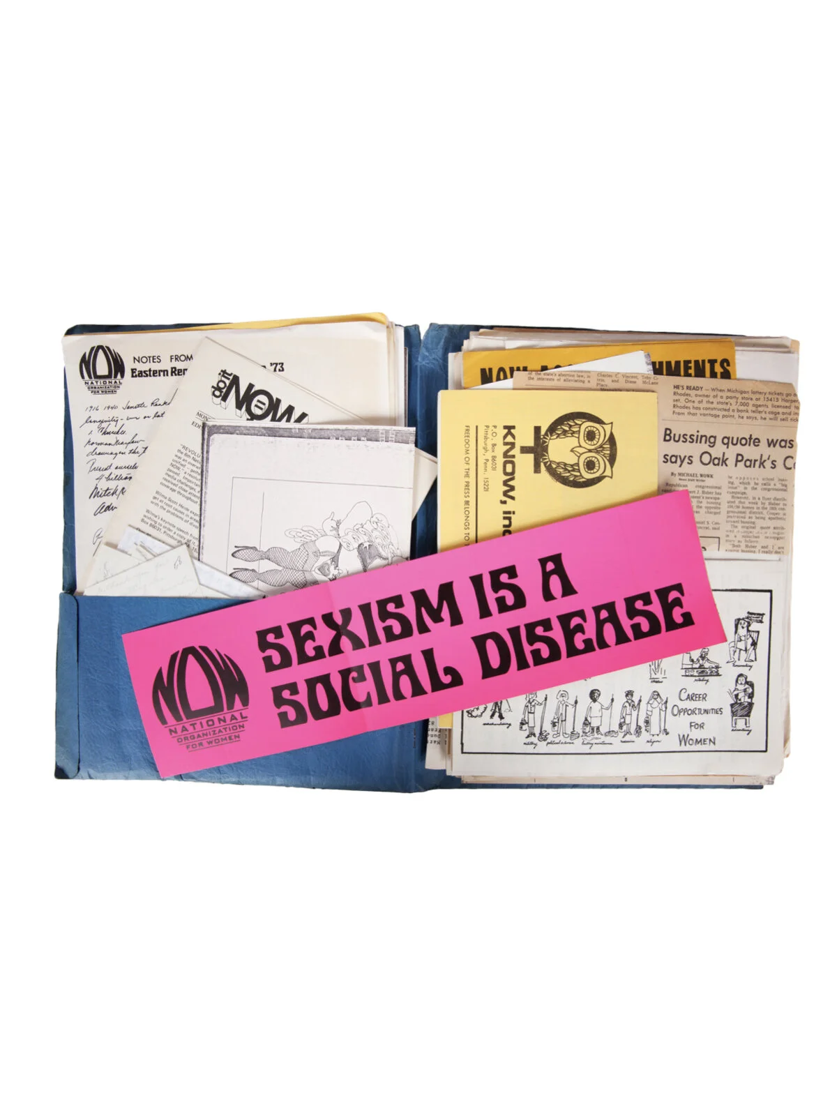 National Organization of Women 1973 Convention Ephemera Collection