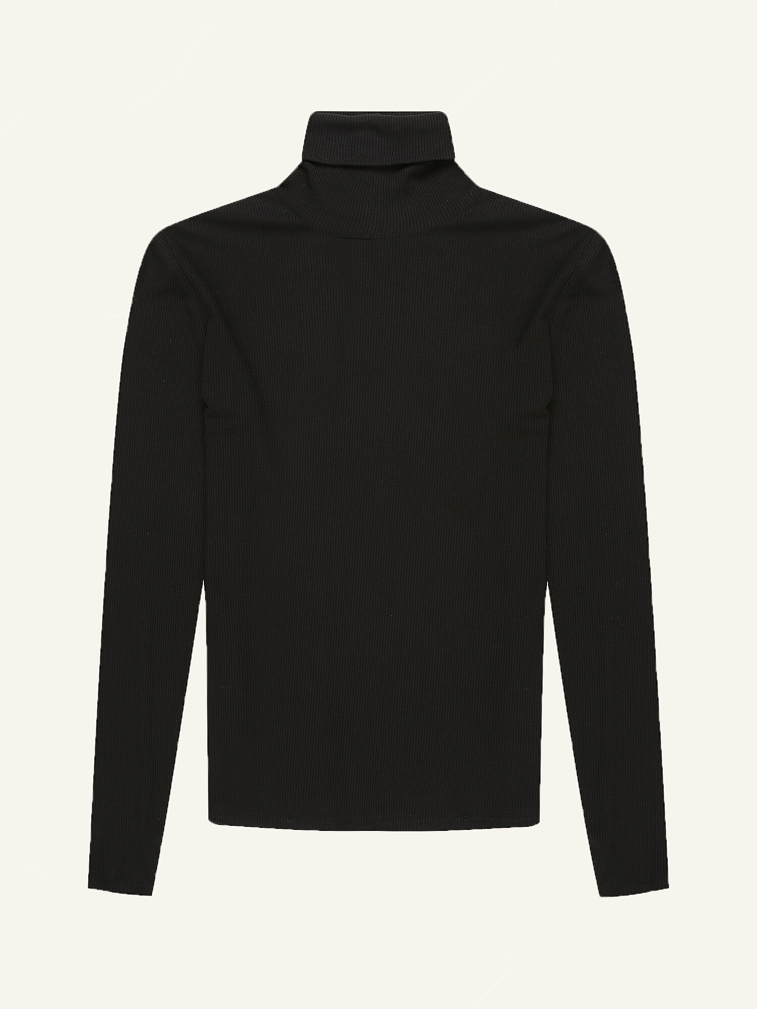 Cycad Turtle Neck Top 