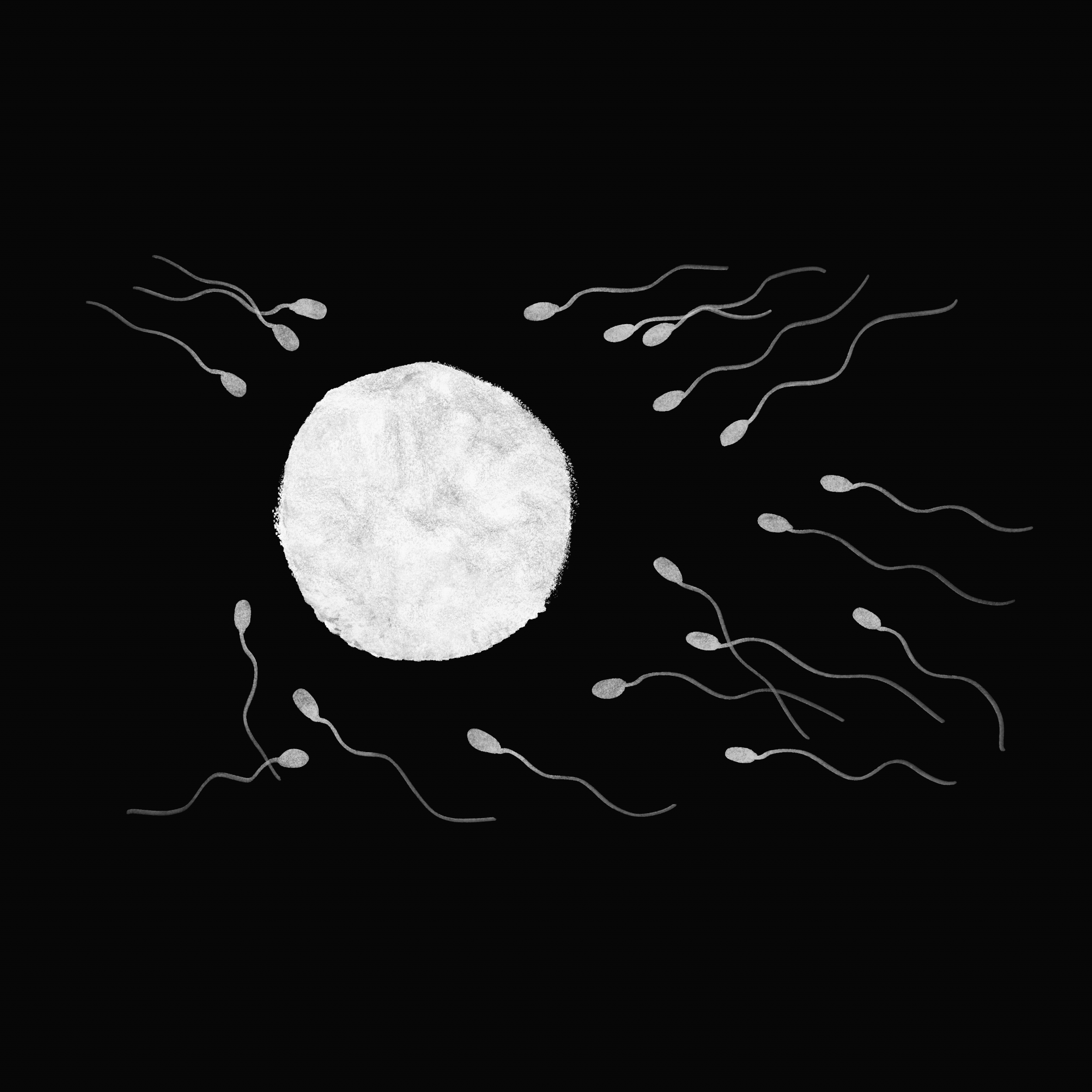 Sperm and egg