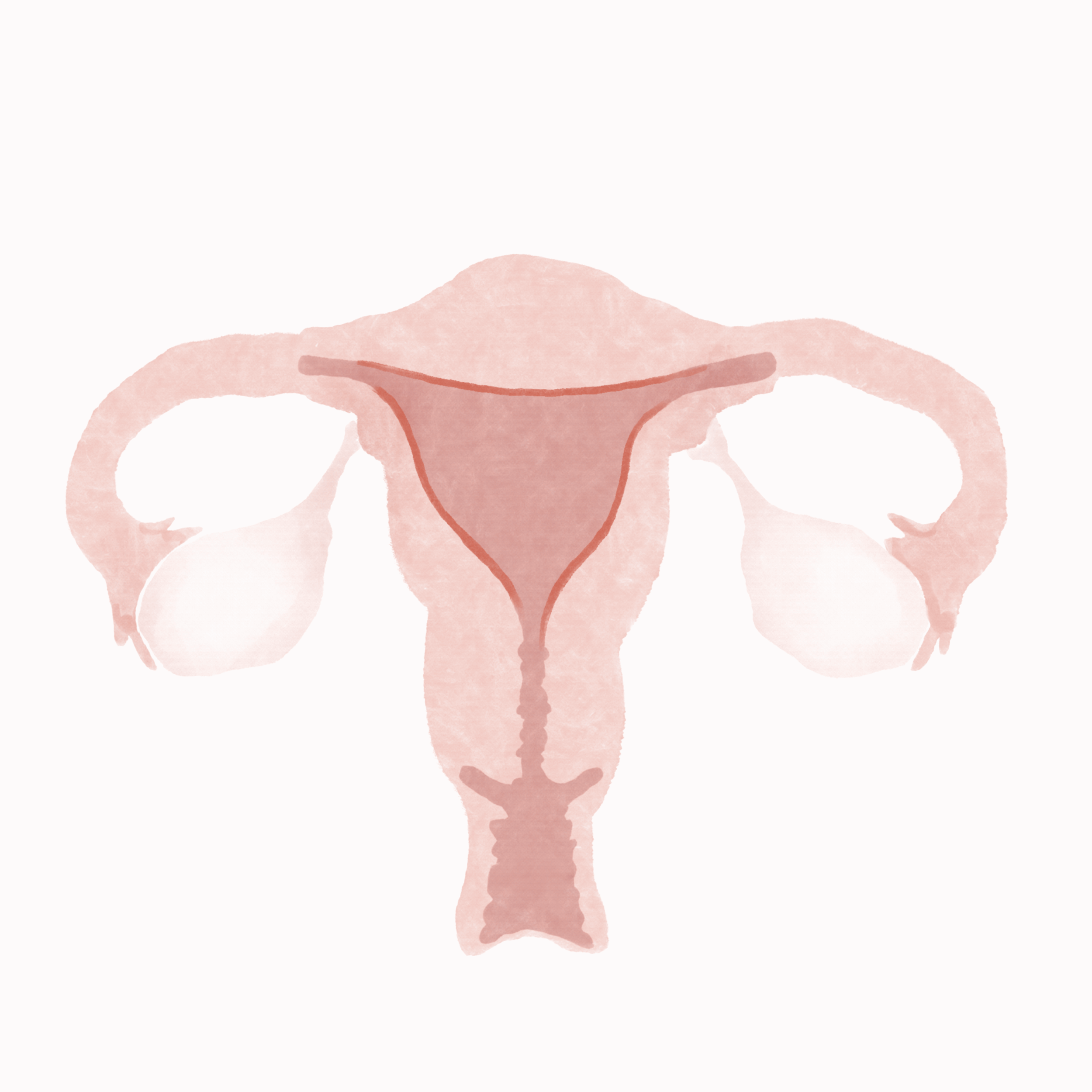 Uterine lining shedding