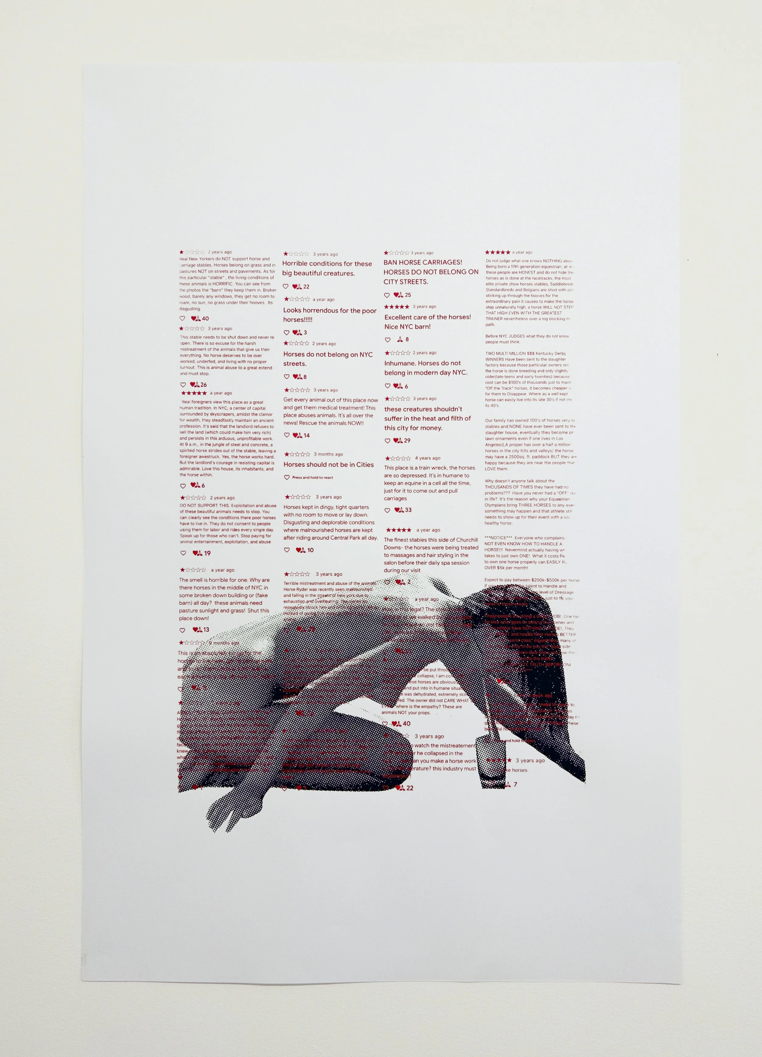   "HORSEGIRLS ★★★★★ 1/9"  
 
2026, screenprint on paper, 30x40in.