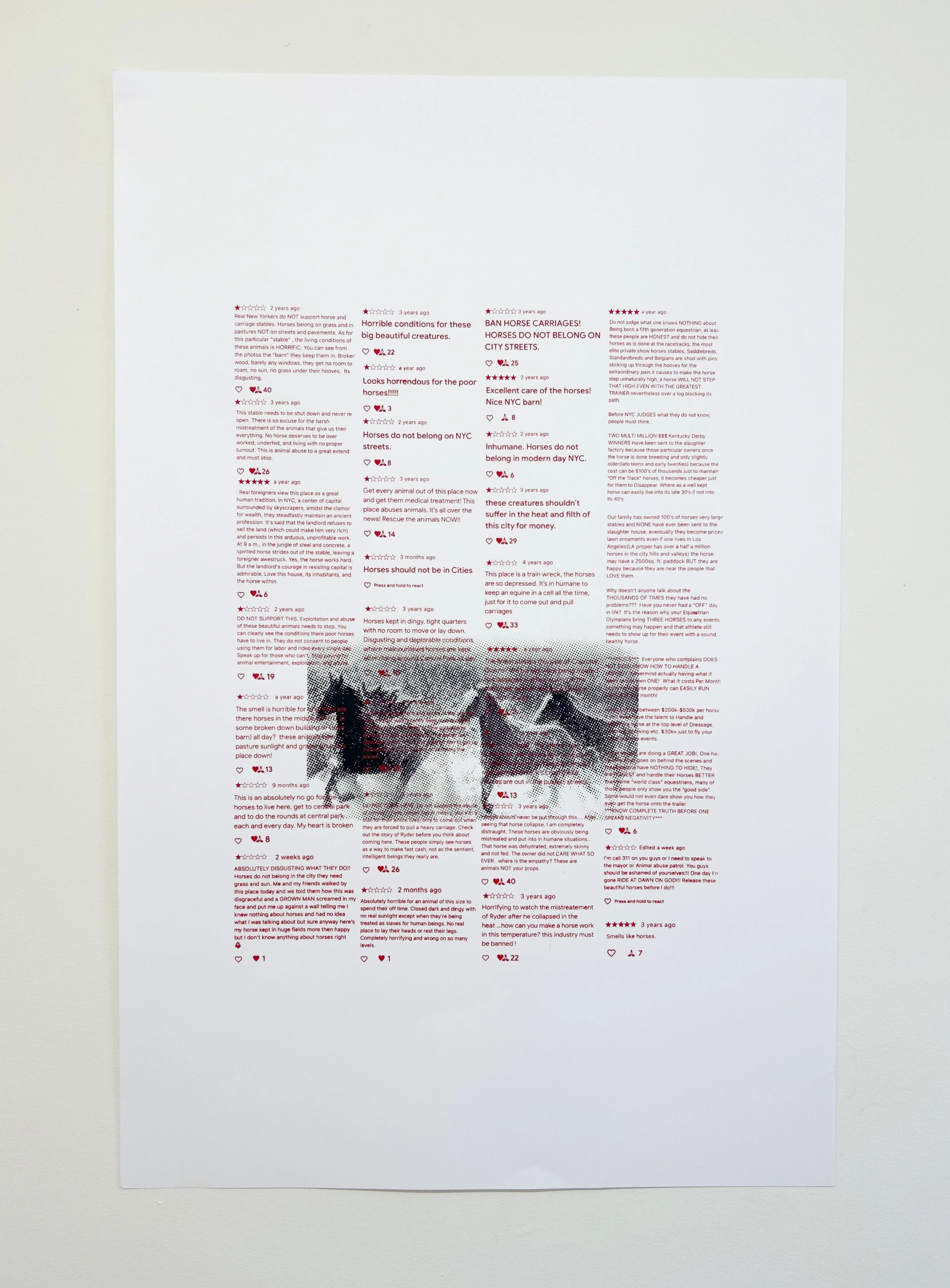   "HORSEGIRLS ★★★★★ 8/9"  
 
2026, screenprint on paper, 30x40in.