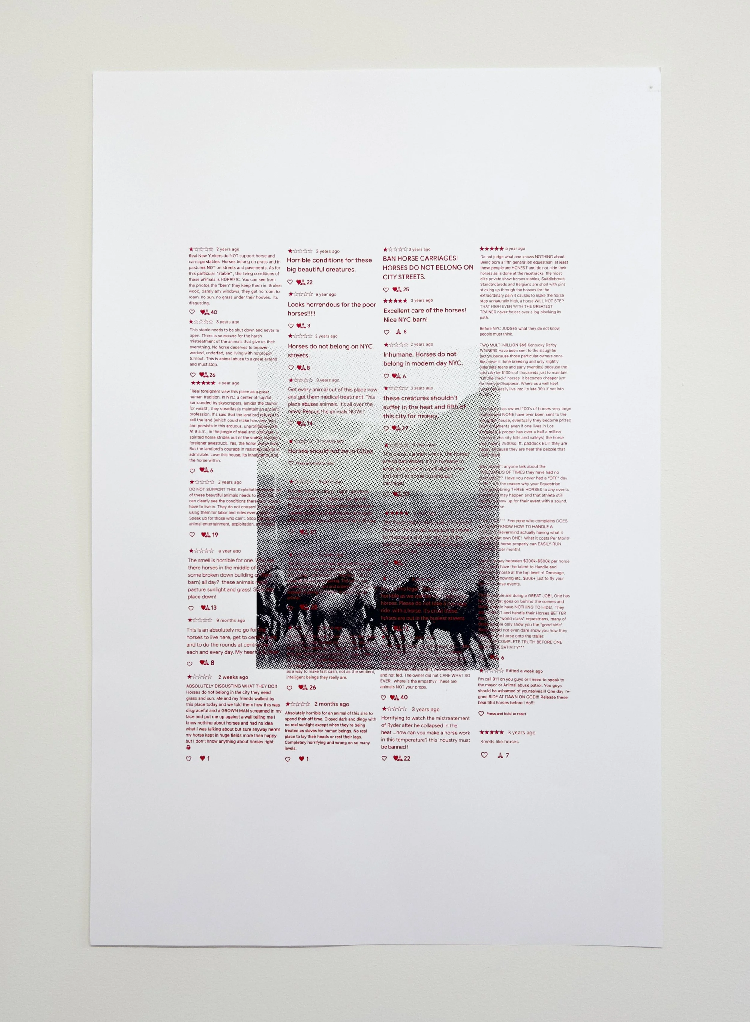   "HORSEGIRLS ★★★★★ 9/9"  
 
2026, screenprint on paper, 30x40in.