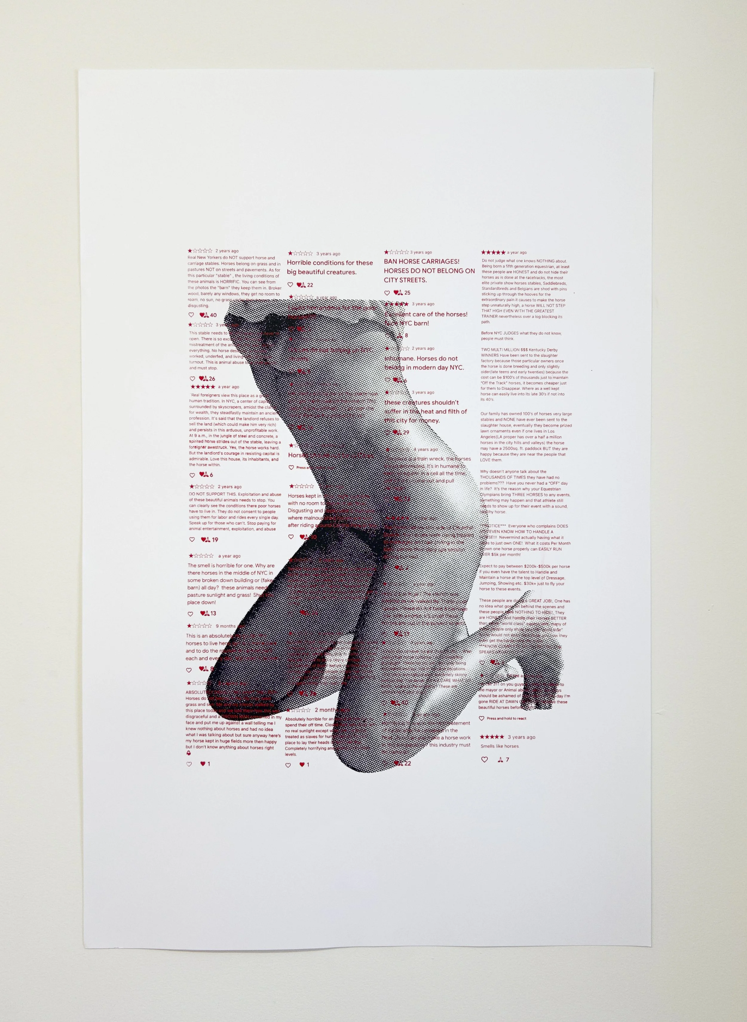   "HORSEGIRLS ★★★★★ 4/9"  
 
2026, screenprint on paper, 30x40in.