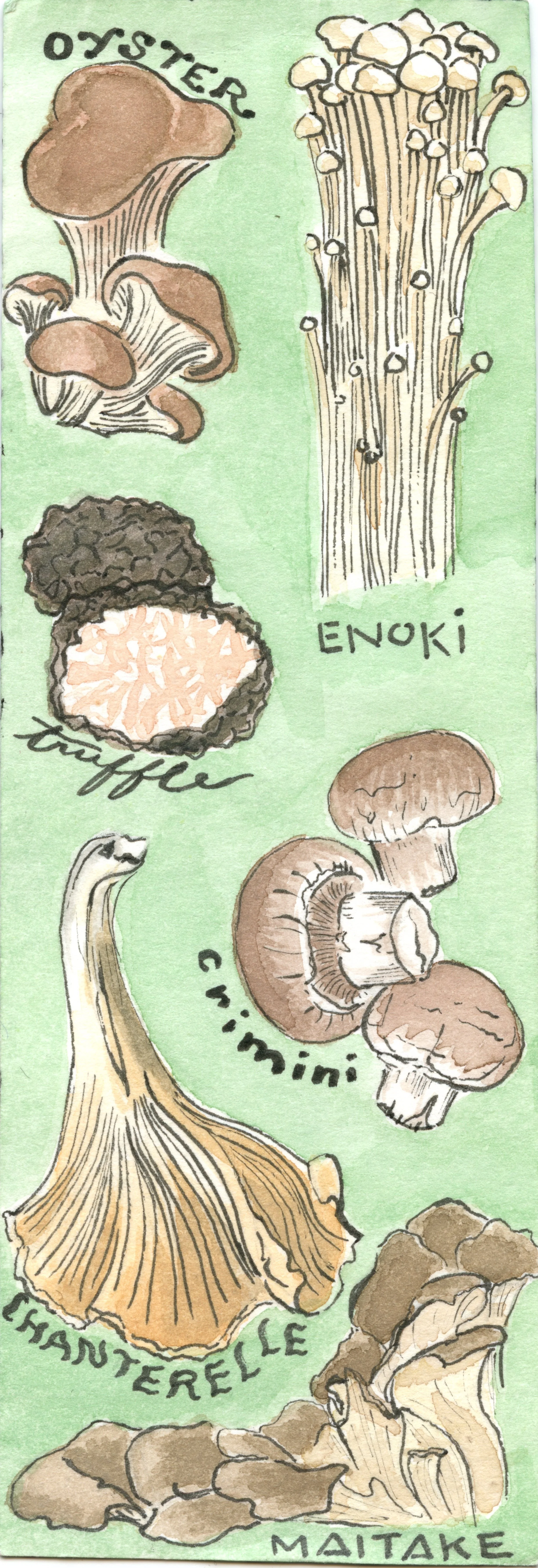  "Mushroom bookmark"  
 
2019, watercolor.