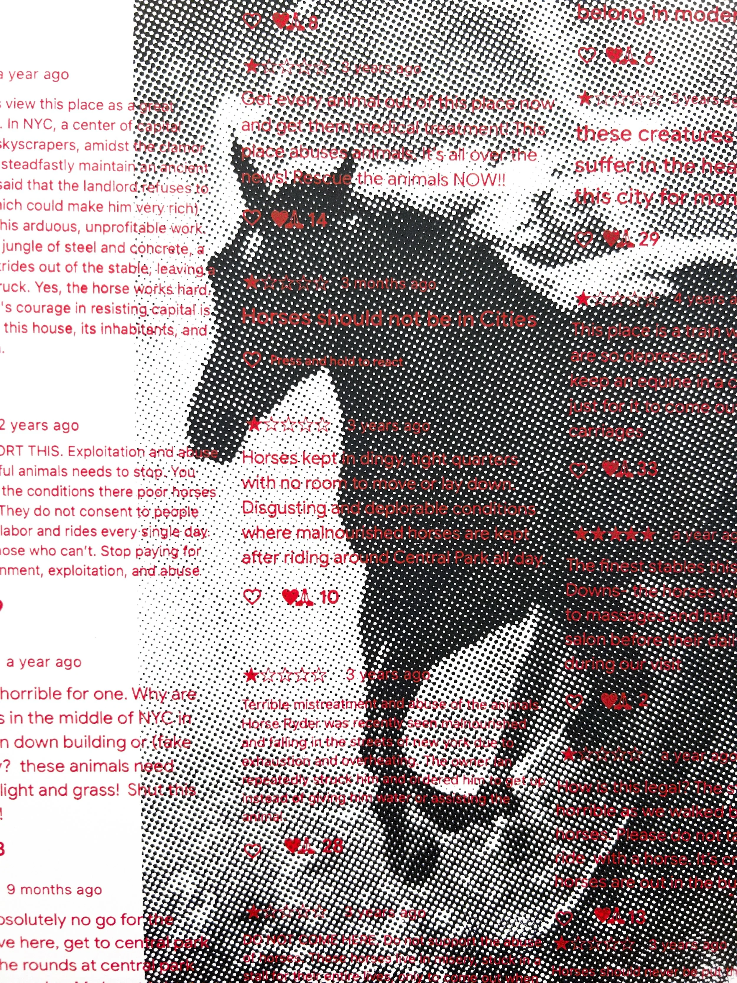 1784053167508.jpg