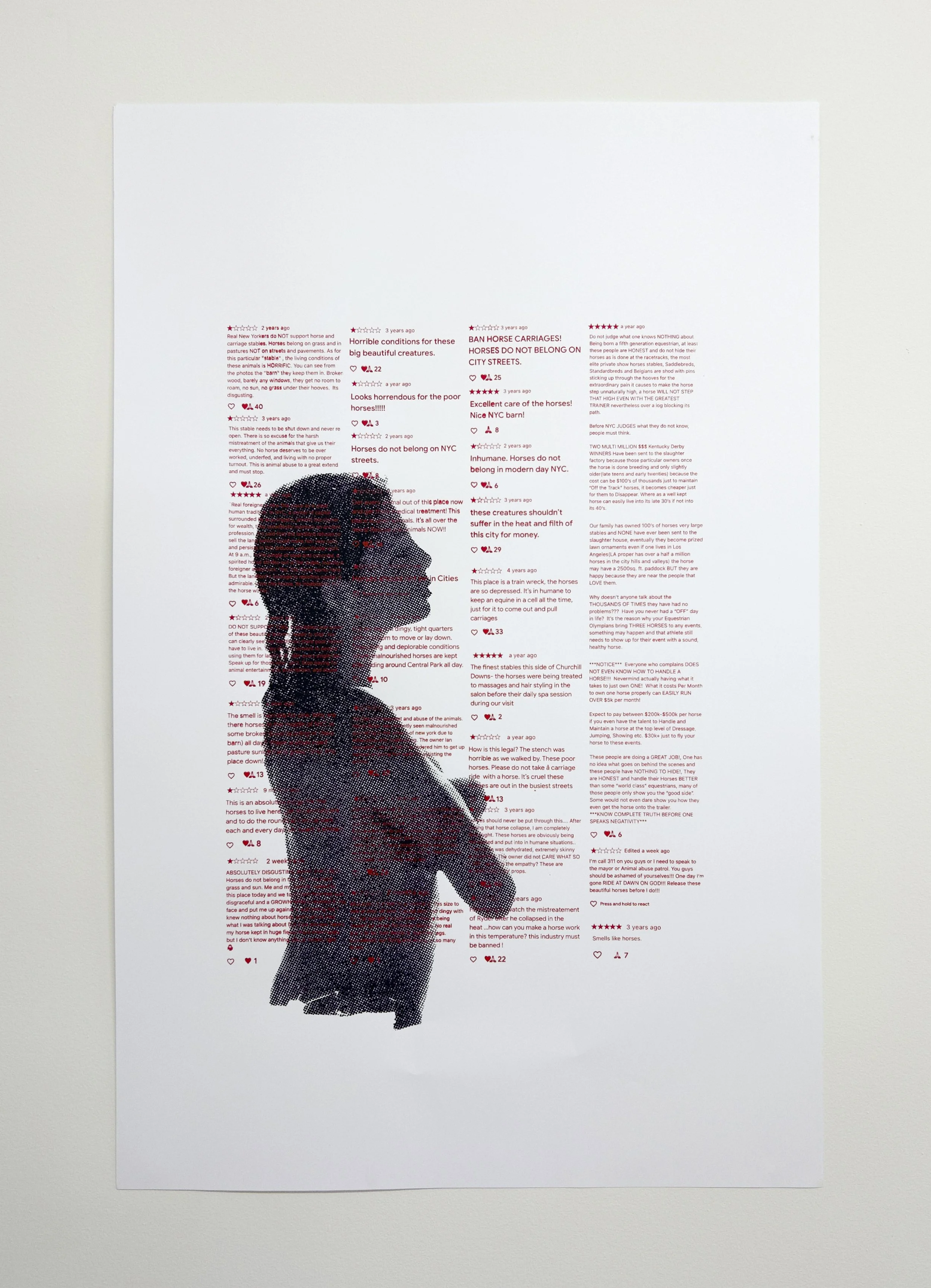   "HORSEGIRLS ★★★★★ 2/9"  
 
2026, screenprint on paper, 30x40in.