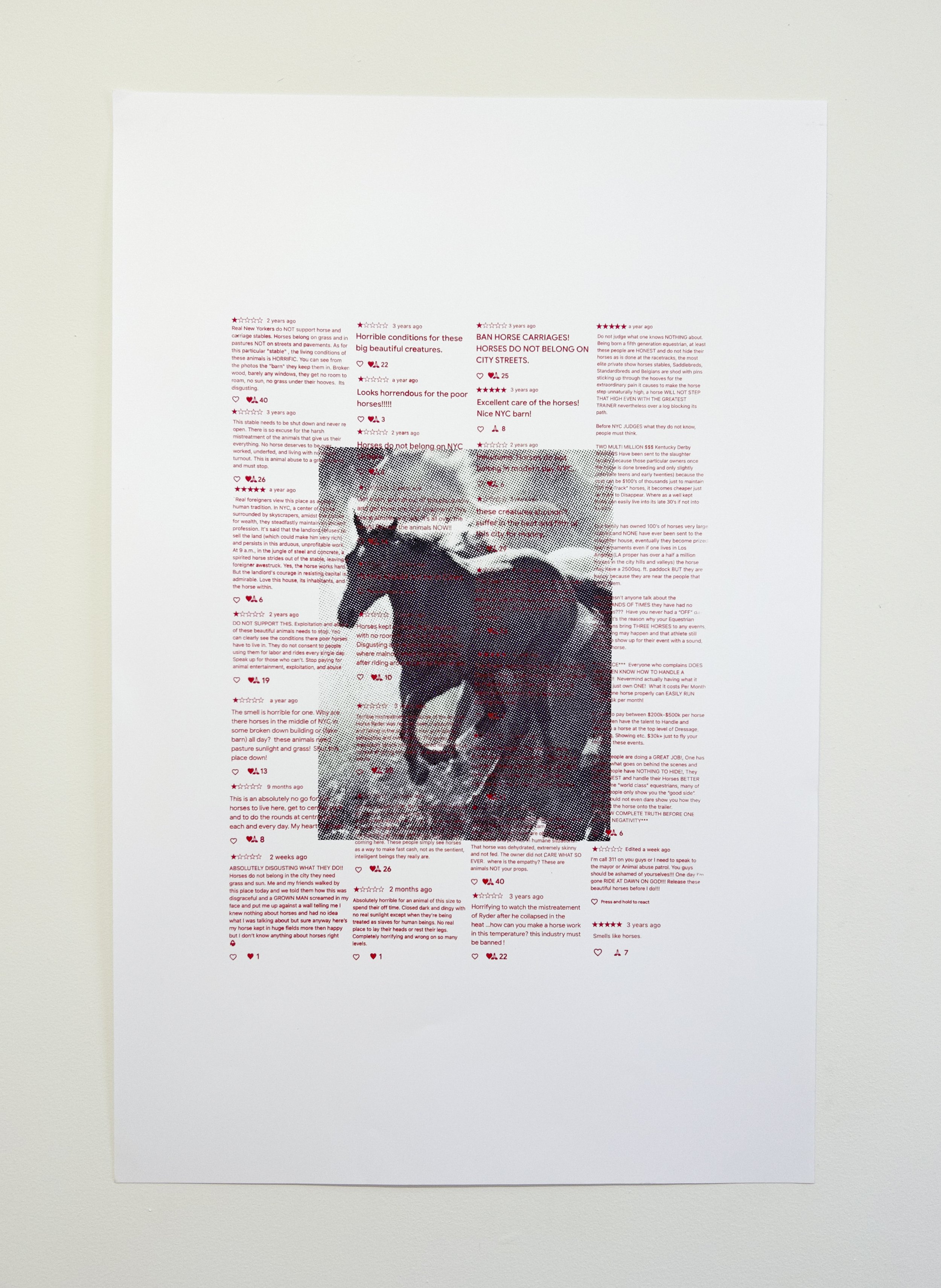   "HORSEGIRLS ★★★★★ 7/9"  
 
2026, screenprint on paper, 30x40in.