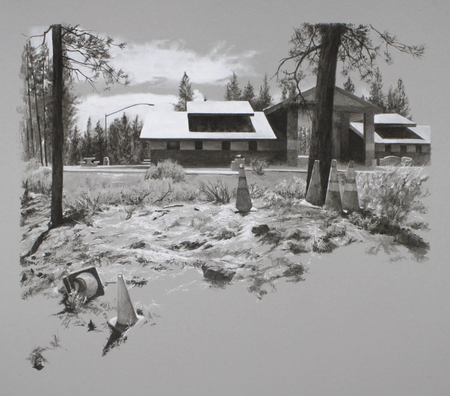 Freeway Rest Area Landscapes • Sarah M. Newton • Artist