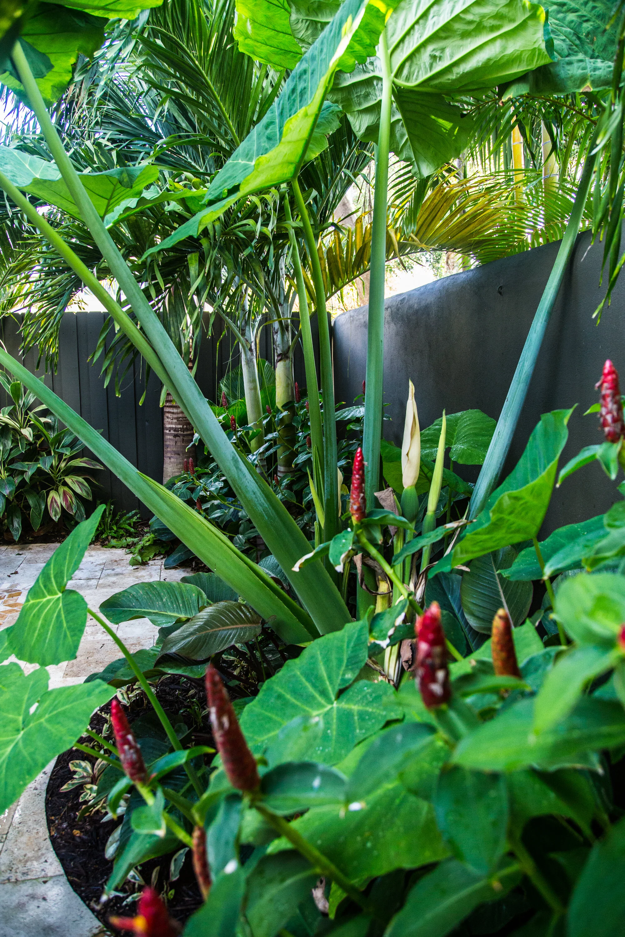 20180917_JJM_00016-94.jpg