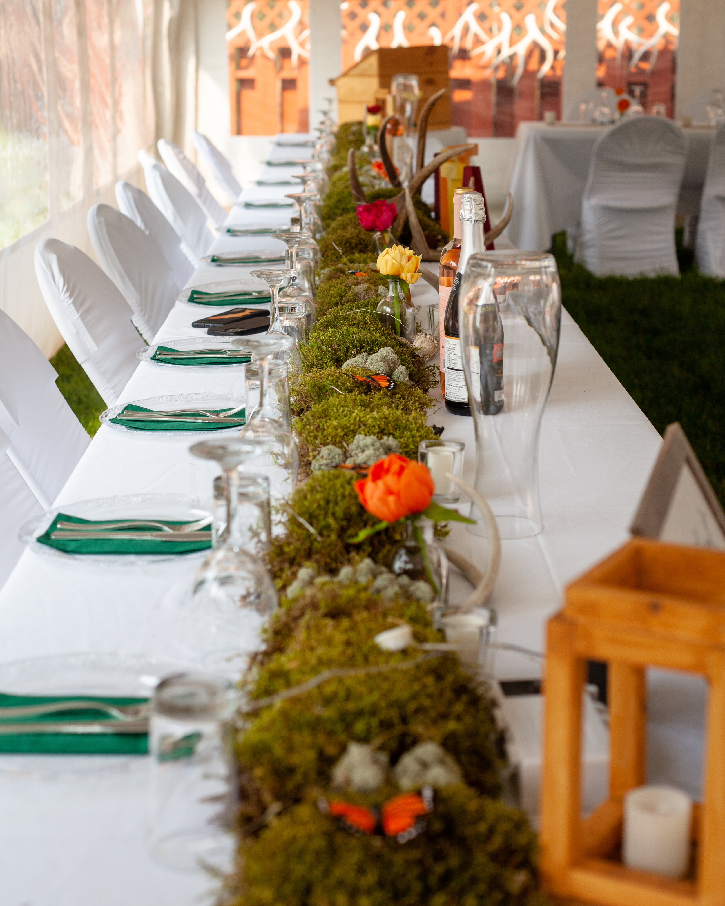 PerryWedding (179 of 775).jpg