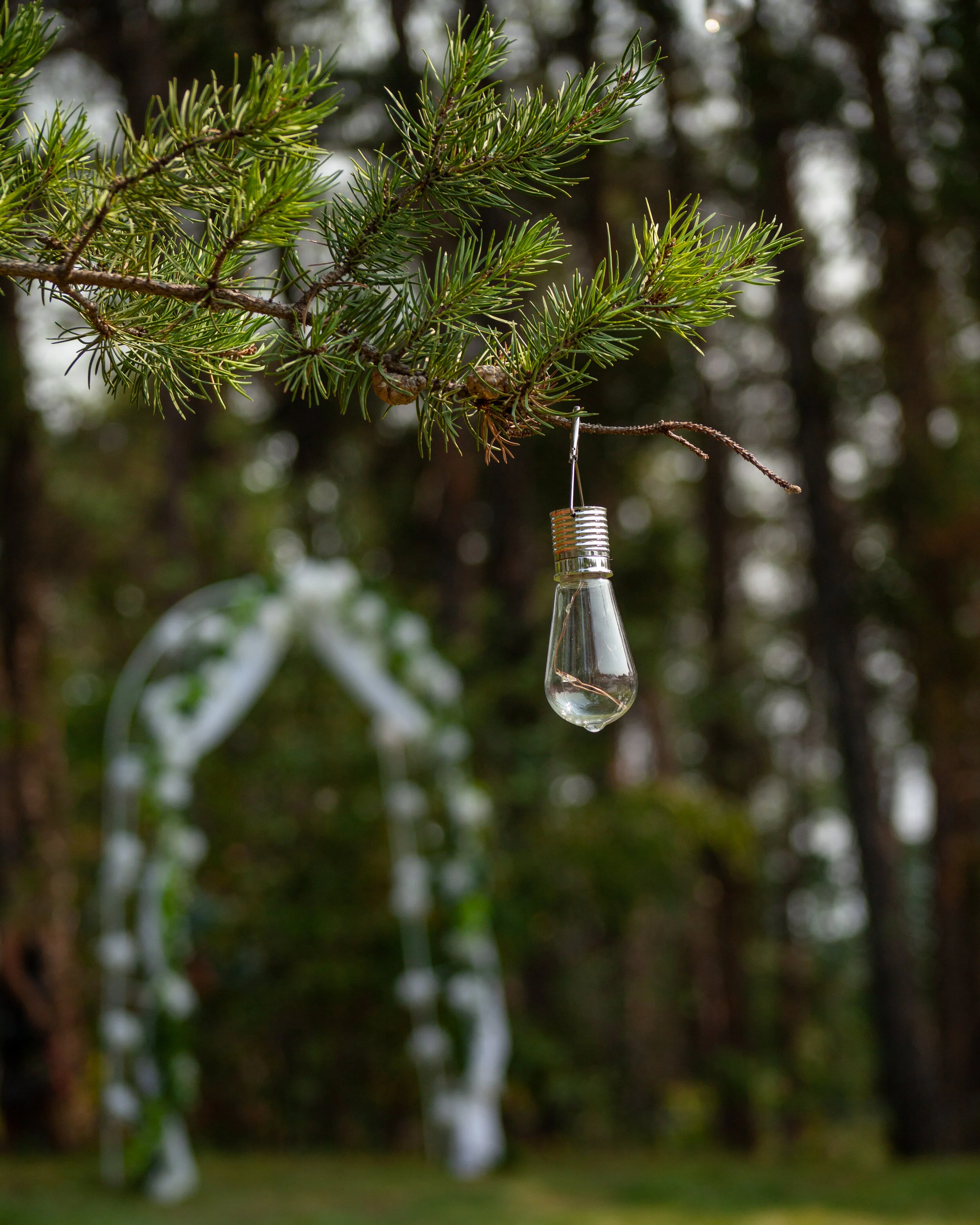 PerryWedding (195 of 775).jpg