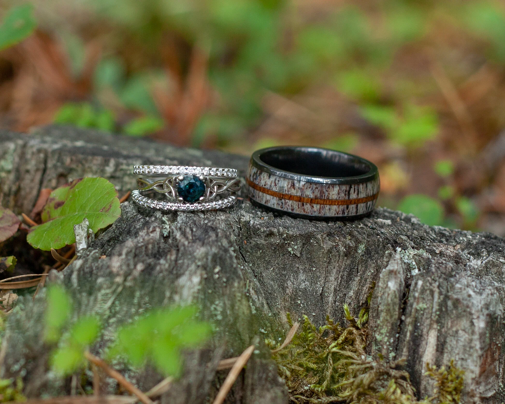 PerryWedding (590 of 775).jpg