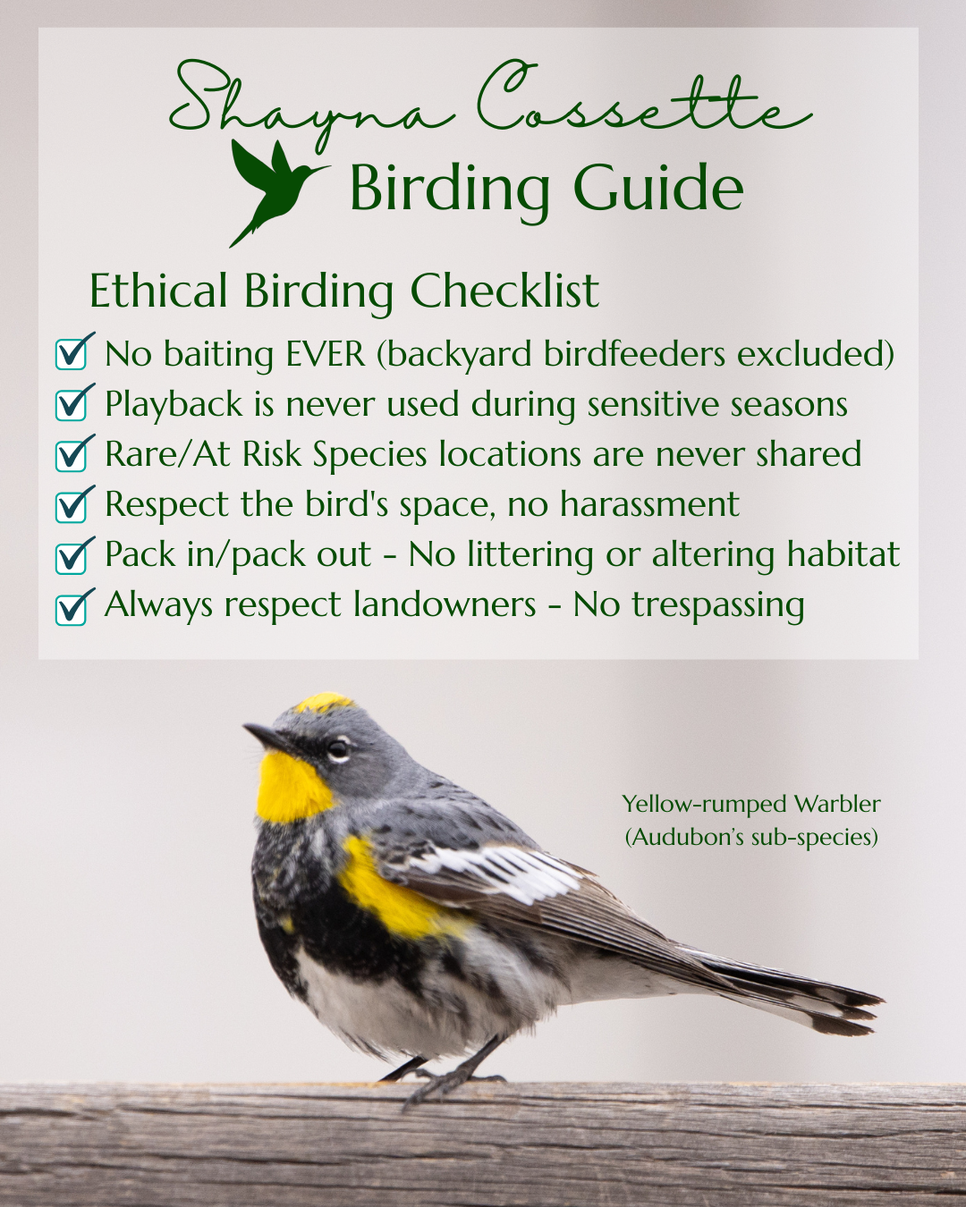 Ethical Birding Checklist.png