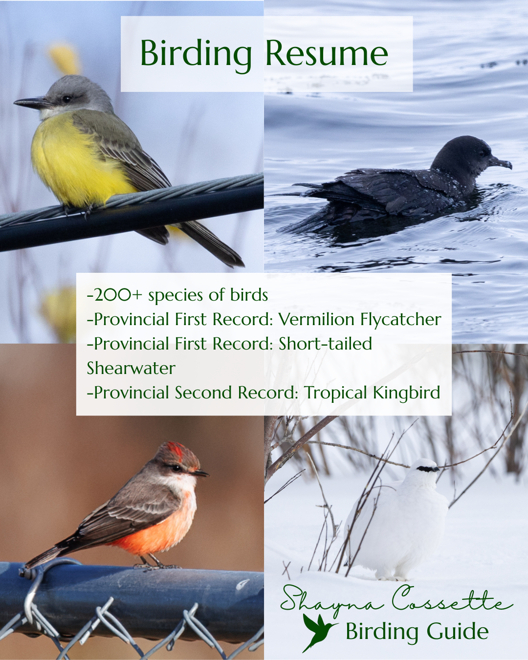 Meet Your Guide (2).png