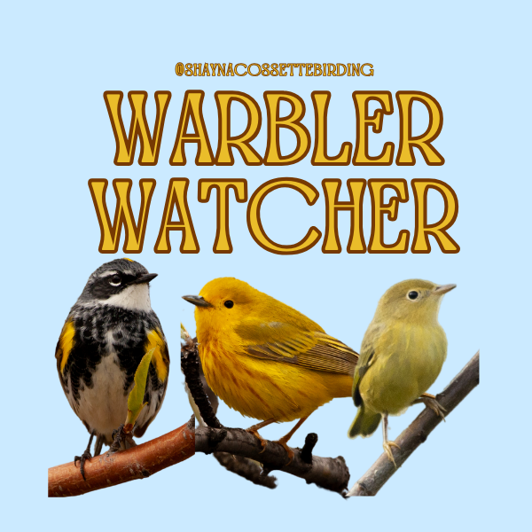 Spring Migration Sticker Designs v2.png