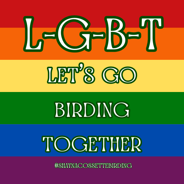 Pride Sticker Designs.png