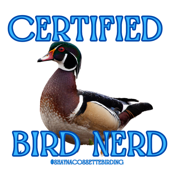 Sticker Designs (1).png