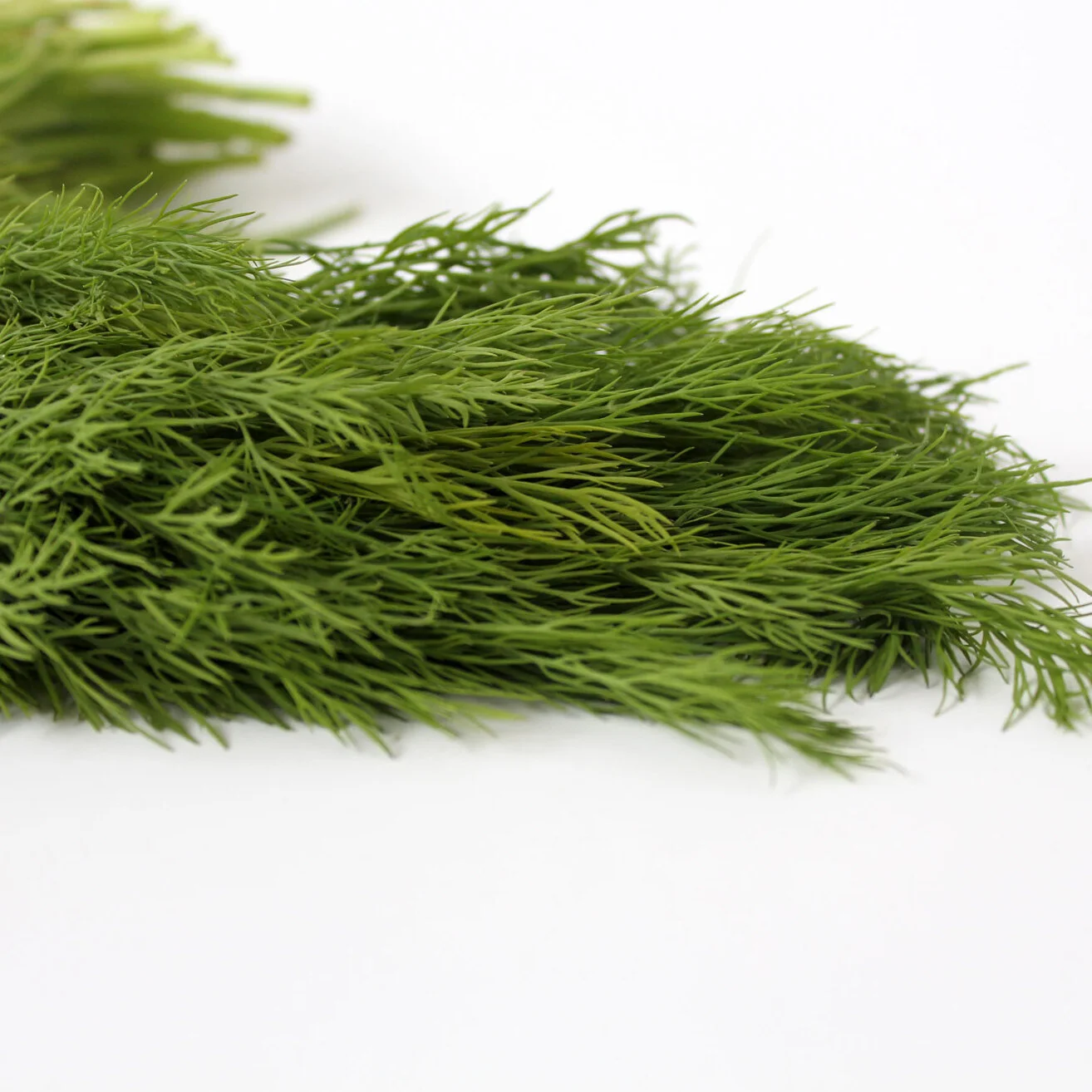 Dill