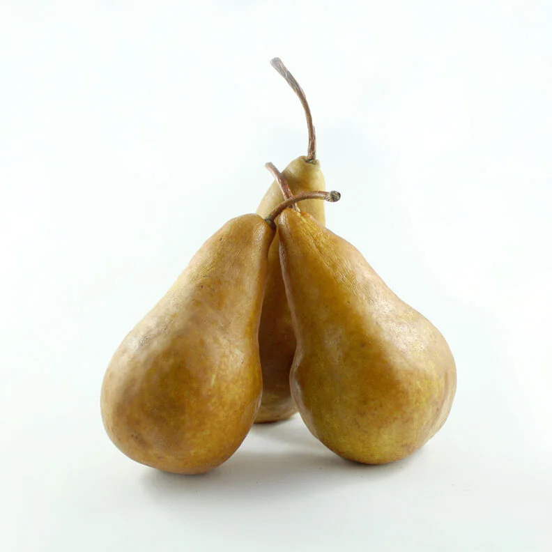 Bosc Pears