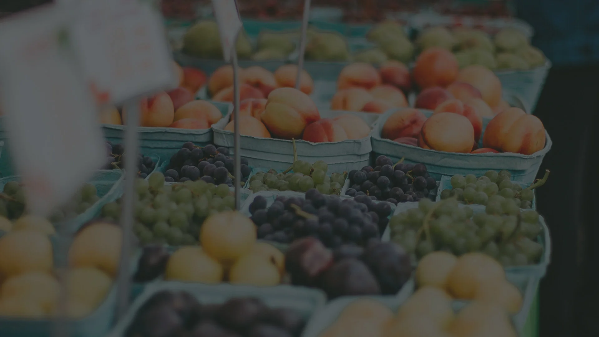 Steve-and-Dans-Fresh-BC-Fruit-Hero-Image-8.jpg