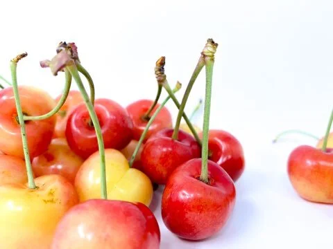 Rainier Cherries