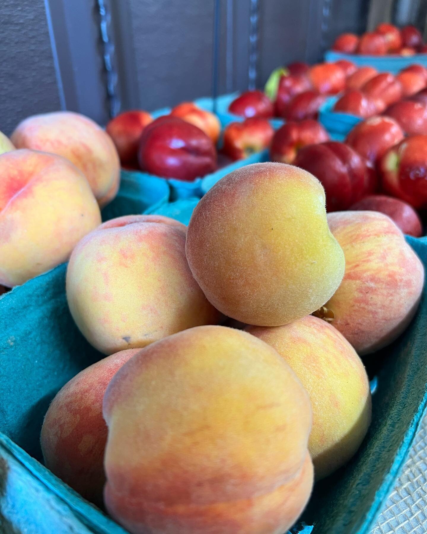 Freestone Peaches have arrived!

#yegfood #yegfarmersmarket #yegfruit #bcfruit #yeglocal #yegfoodie