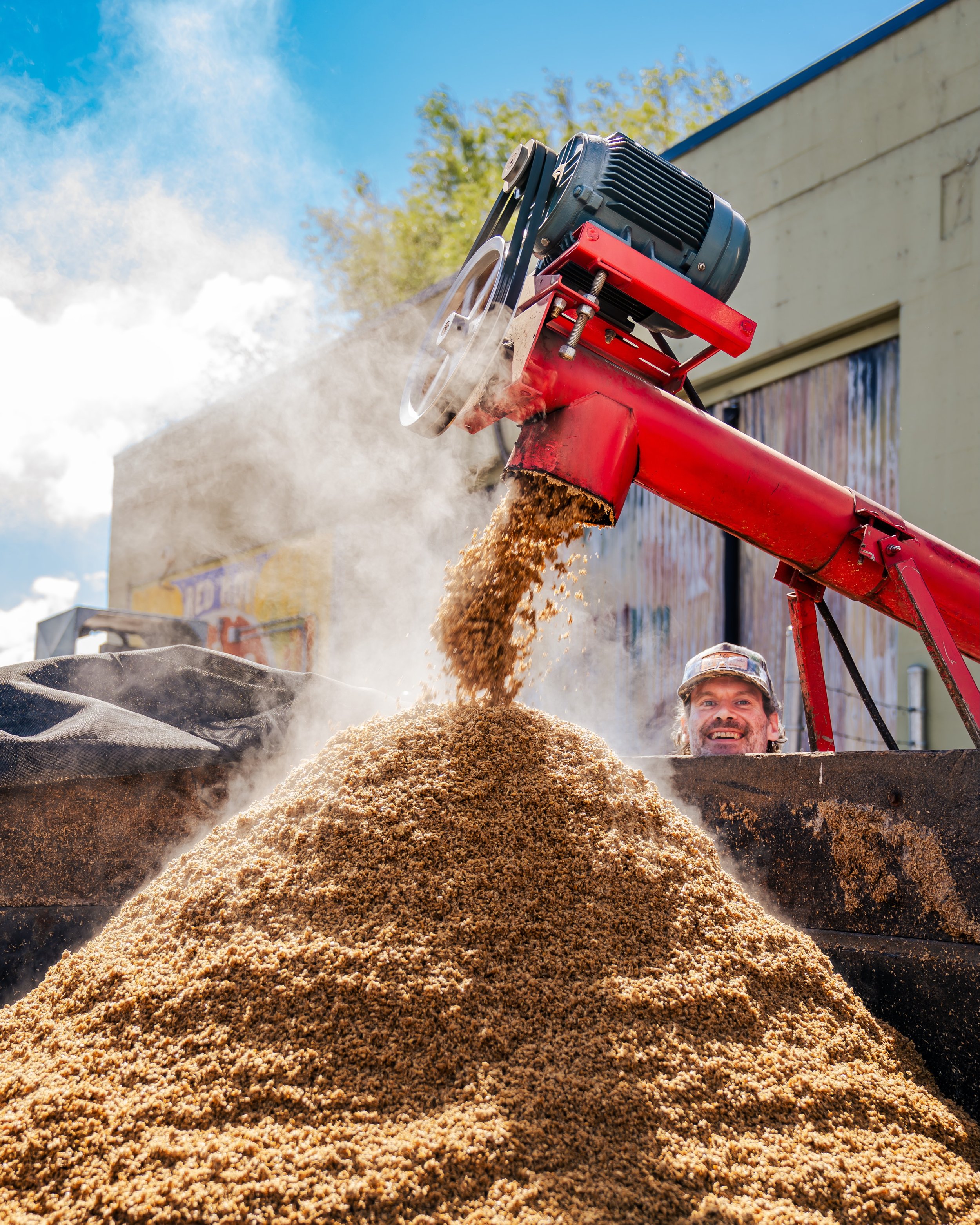 From grain to glass, and back to the farm. 🌾🍻

Fresh spent grain headed straight from the brewhouse to a local farm in Spangle, WA for a second life as livestock feed.

Bonus points if you spotted Head Brewer Ty making surprise appearance. 👀