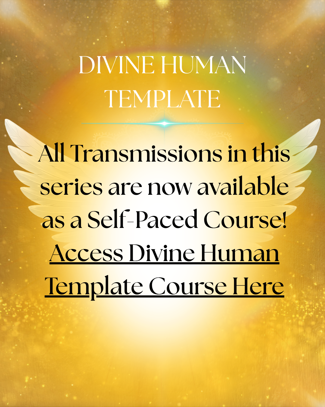 divine transmission series (1).png