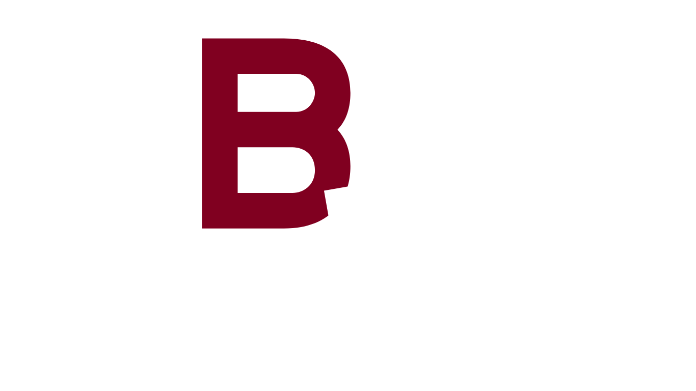BLYAN MEDIA