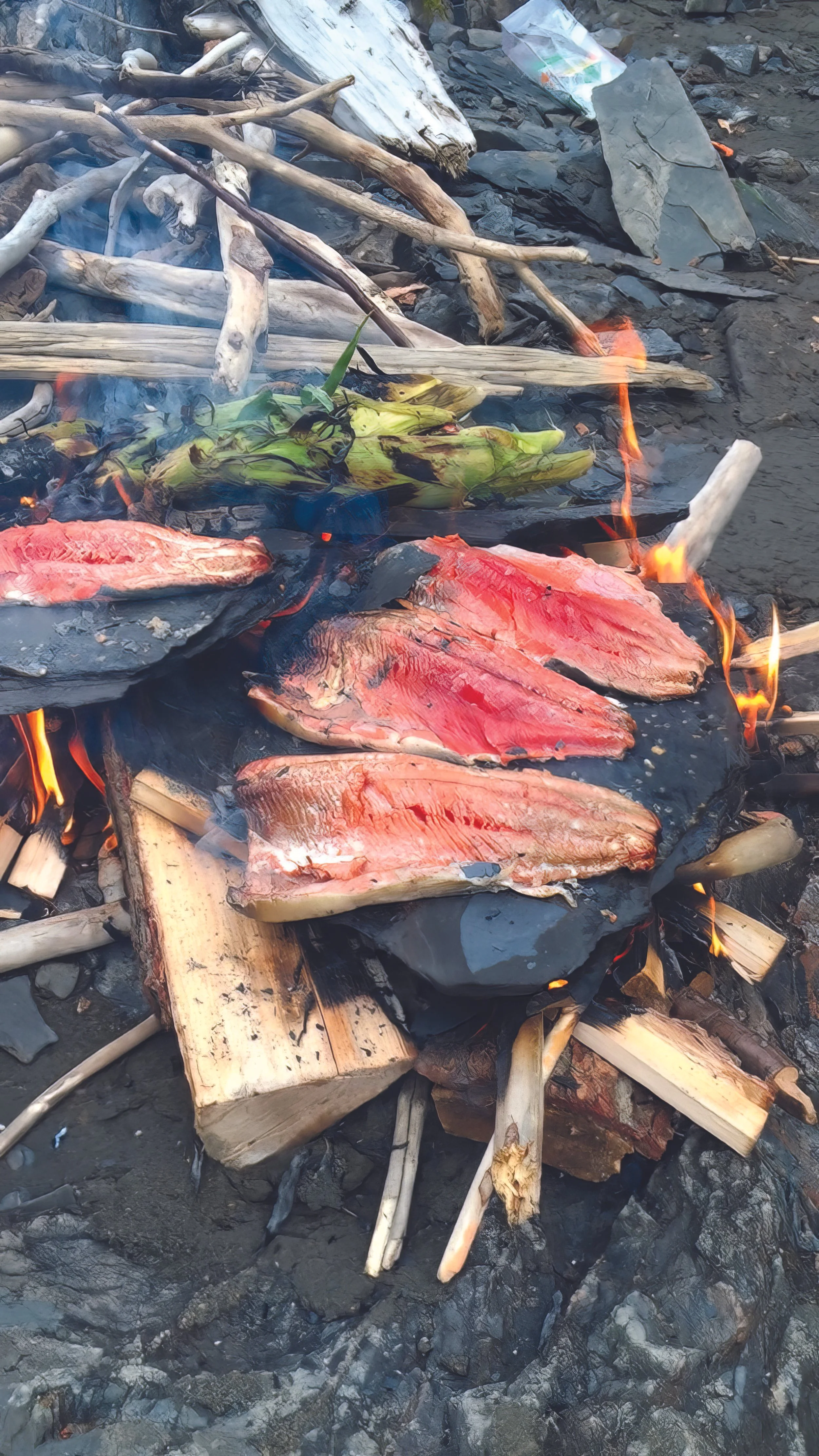La résilience climatique des Gitxsan et des Secwépemc