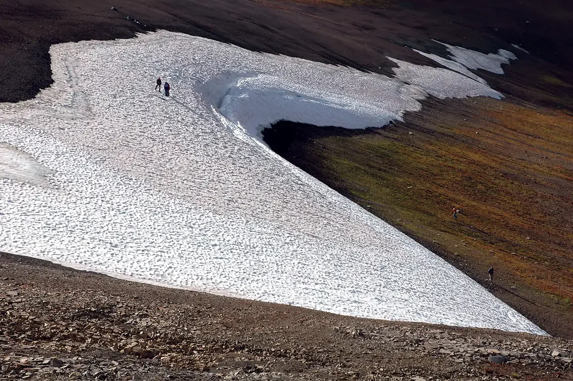 Rapid Loss of Perennial Alpine Ice Patches,  Selwyn and Mackenzie Mountains, NWT