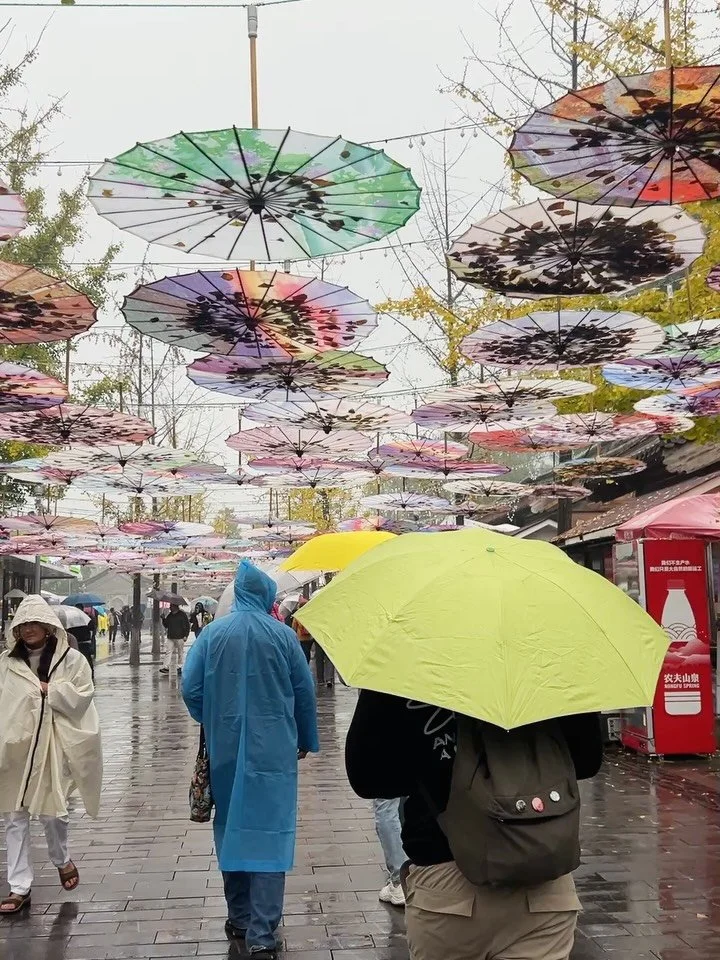 36 hours in Beijing 🇨🇳 Great Wall of China, Forbidden City and Chao Chao, one of the only vegan restaurants in the city and the finest vegan meal I&rsquo;ve had in years.

Follow us at @using_our_passports for more in depth travel stuff from our re