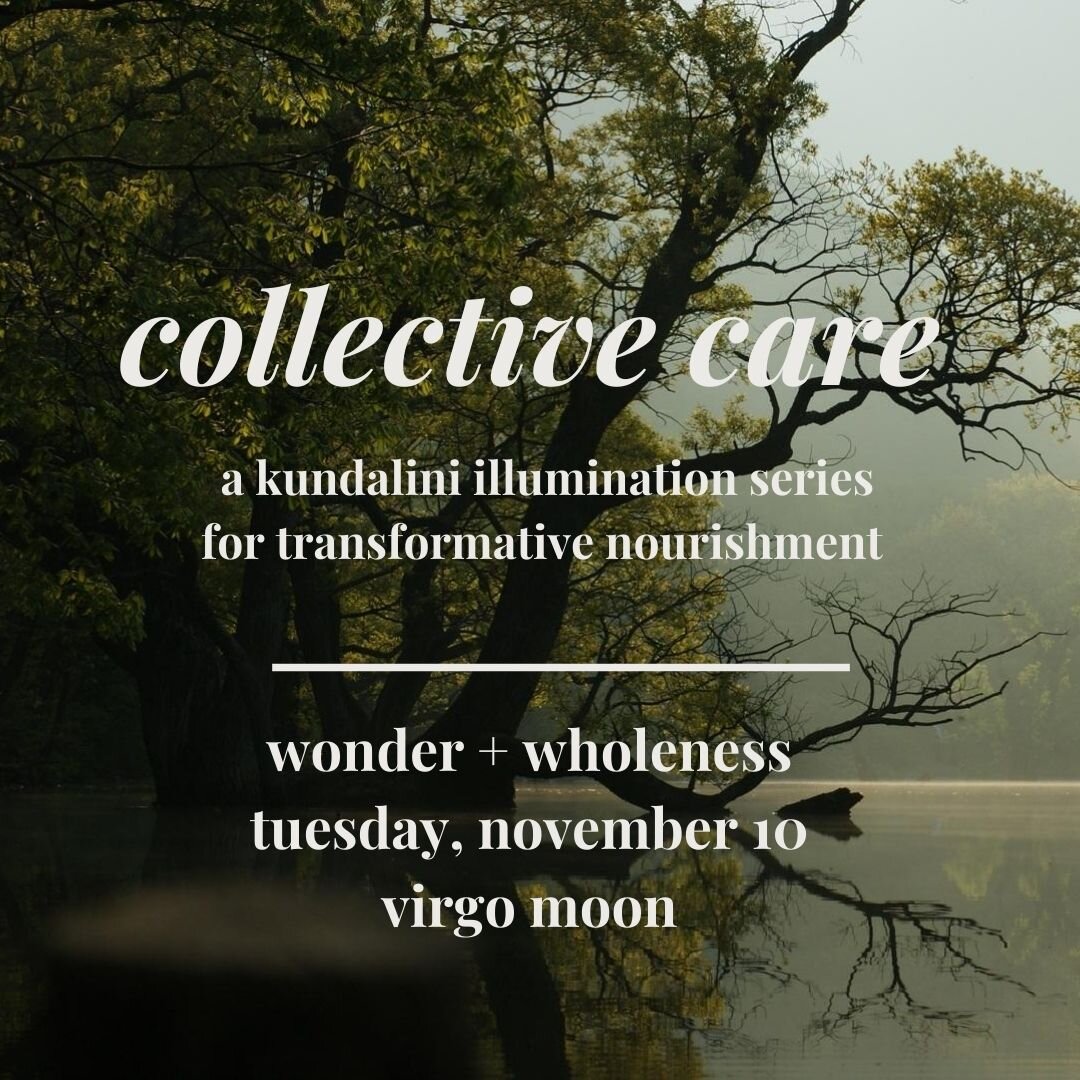 Collective Care | Wonder + Wholeness