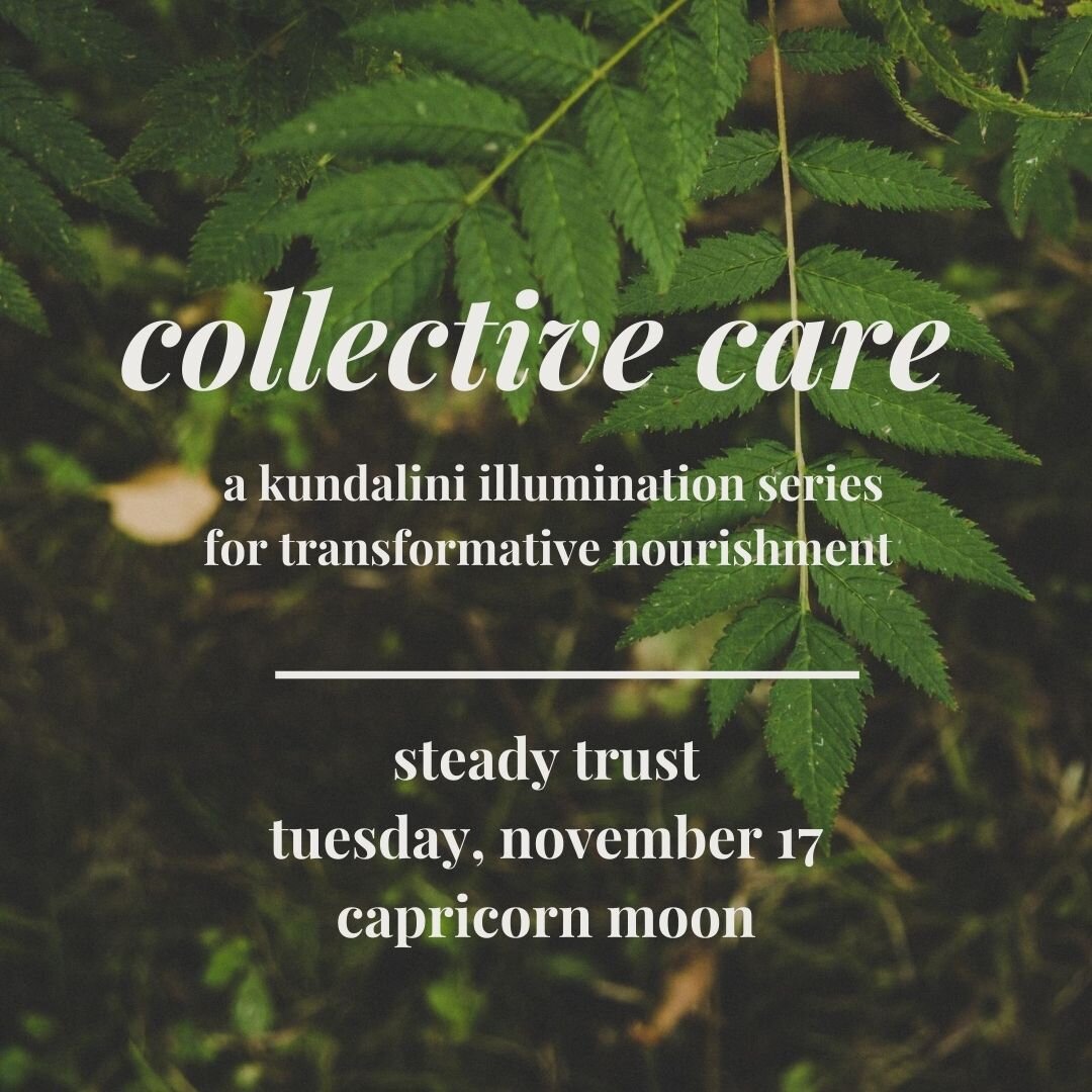 Collective Care | Steady Trust