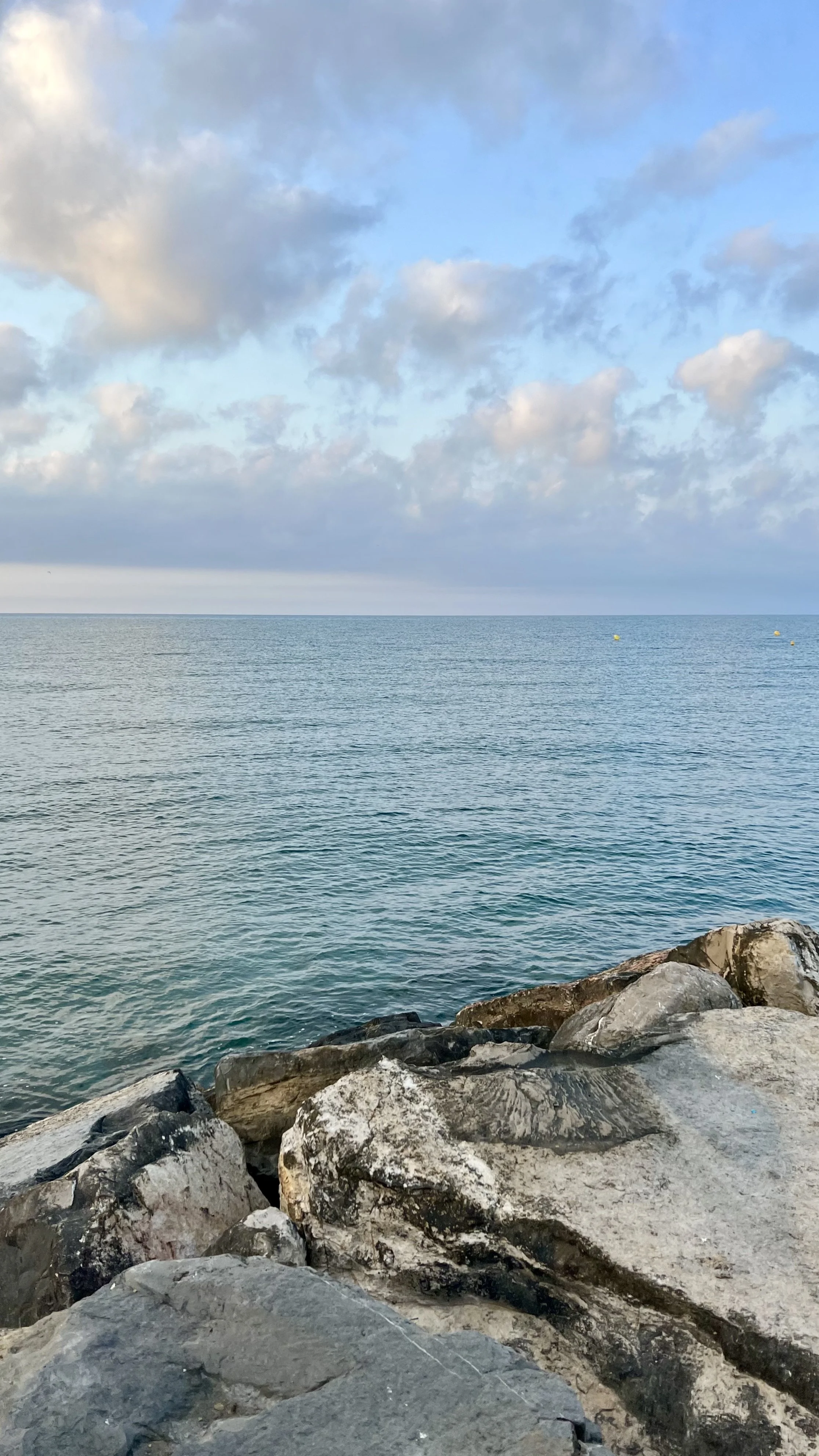 mermaid sea.jpg