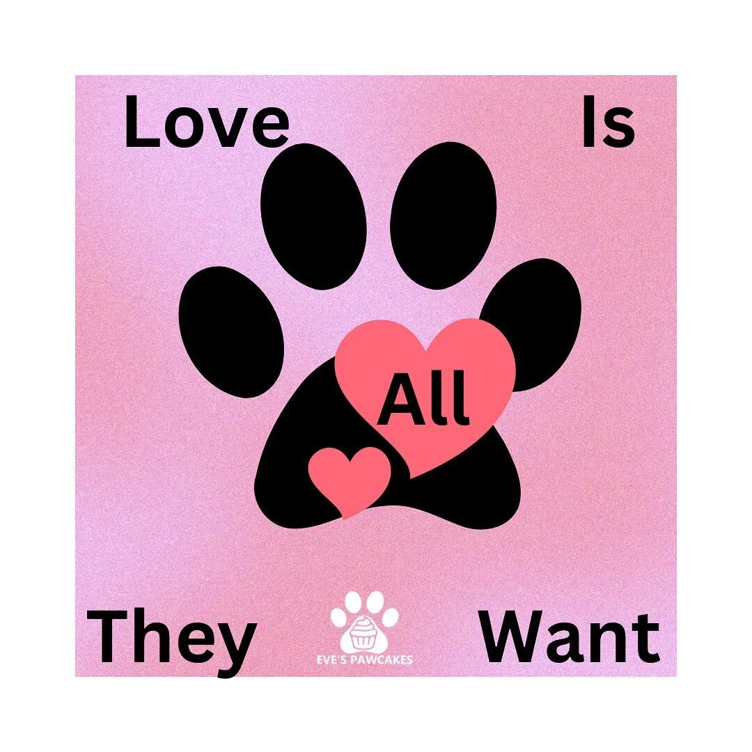 Saving Gigi after her mother’s owners left her at the park to die, makes me wonder how humanly possible can that even happen? 
Dogs or pets in general just want to be loved. They love you unconditionally and will always be there for you no mat
