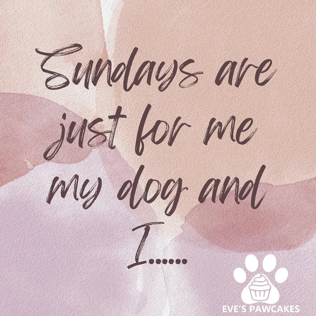 Happy Sunday!! Enjoy it with your four legged friends!!! 
Recharge for a successful week ahead!! 
EVESPAWCAKES.COM 
#dogs #yourfavoritedogbakery #dogcafe #ecommerce #onlineshop