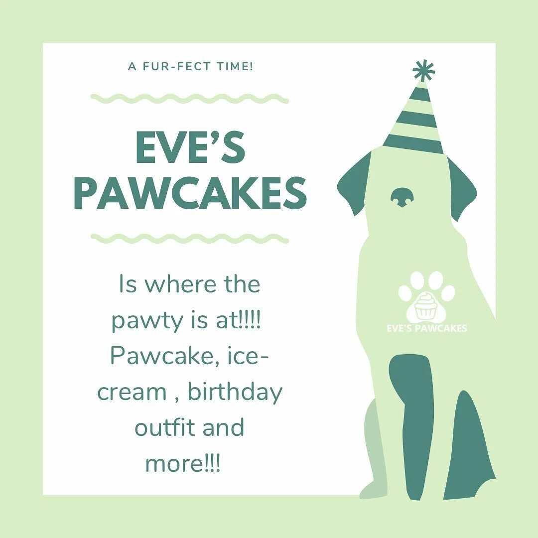 For all your pawty essentials!! 
Treat your guests right! 
π΄π
π΄’π
 πΏπ°π
π²π°πΊπ΄π
!!!
#pawtyessentials #dogbakery #poshdog #ourworld #pawsandpaws #boutique #cafe #texas #arizona
