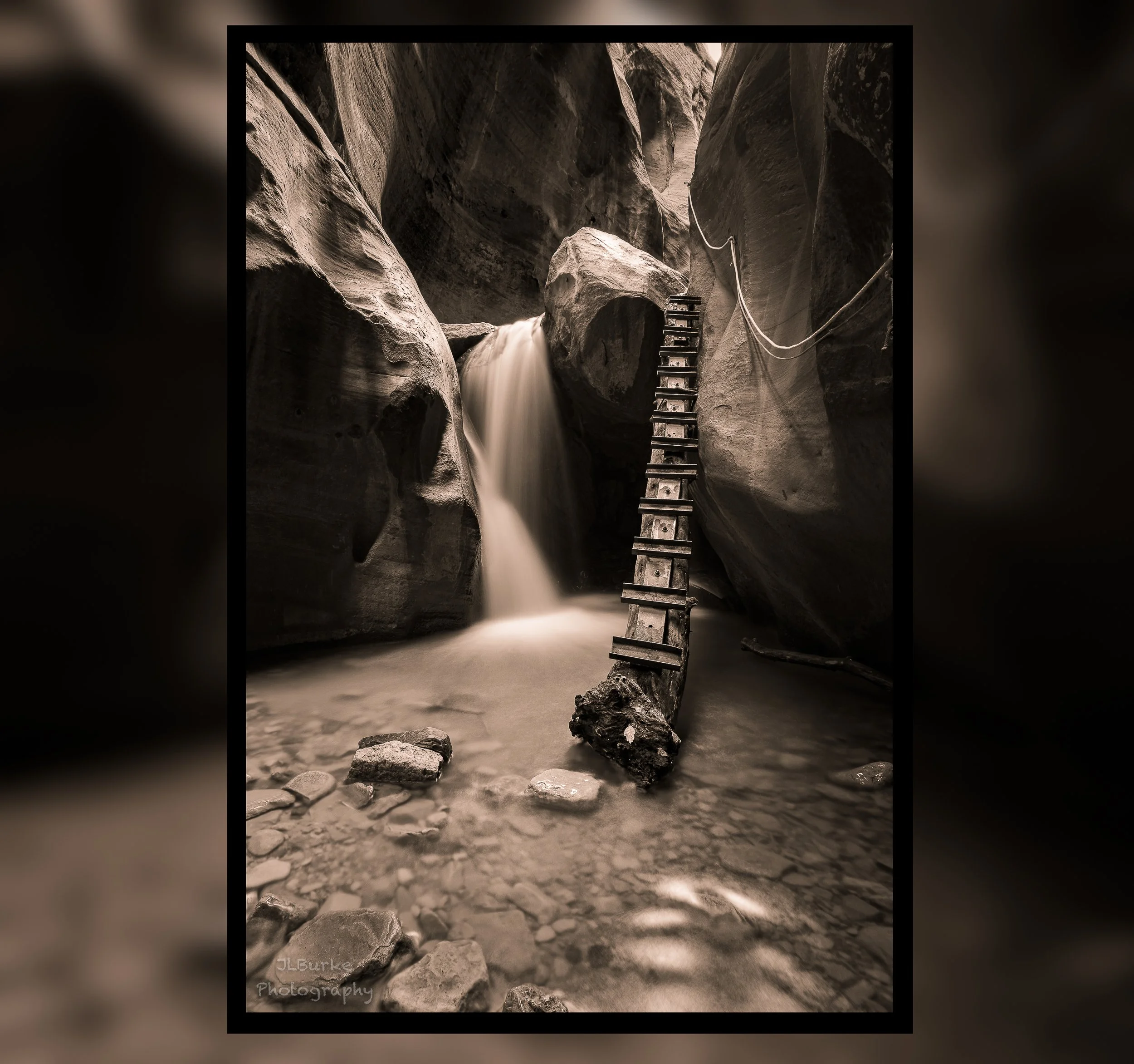 Zenith Instagram Crop.jpg