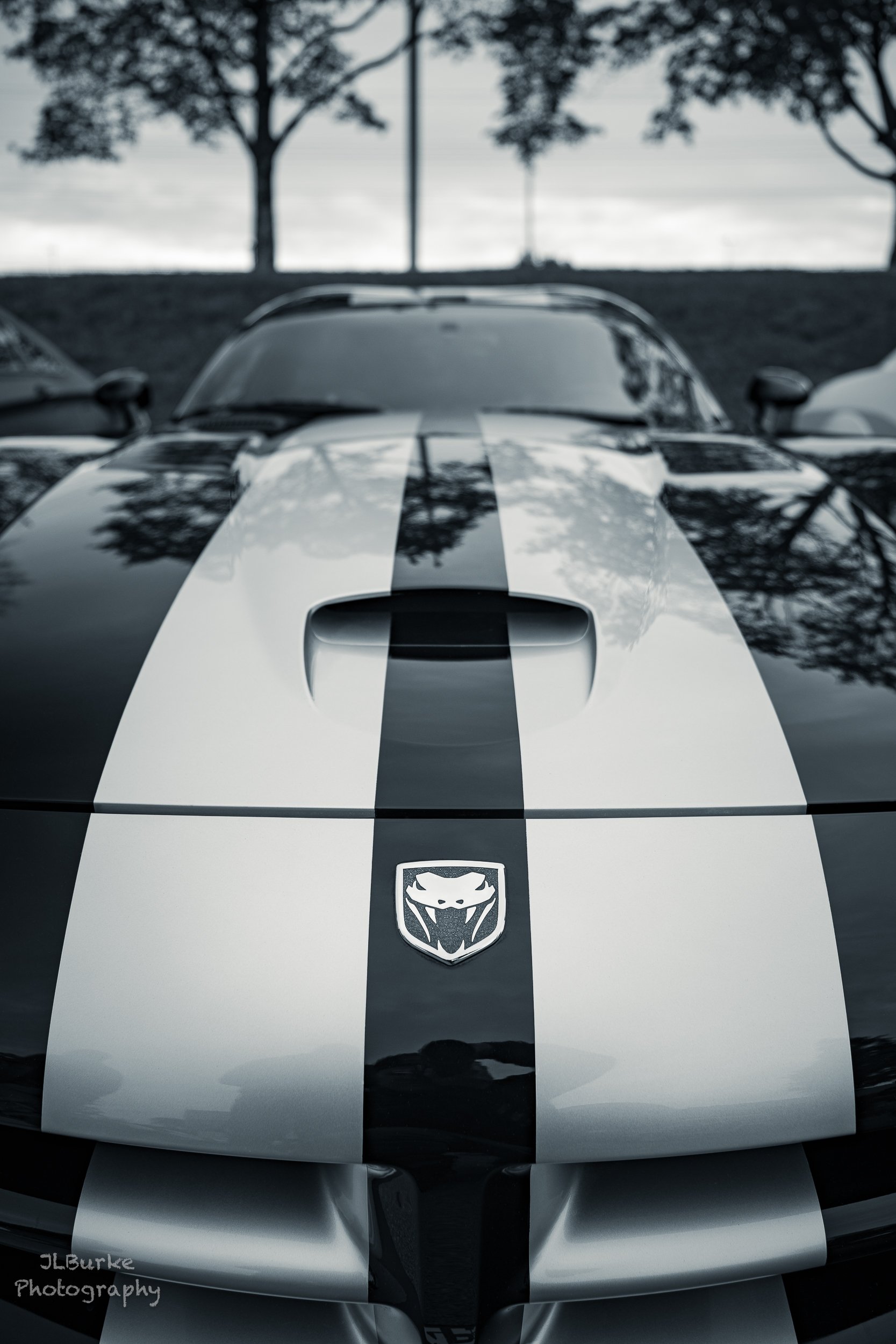 Dodge Viper I-W.jpg