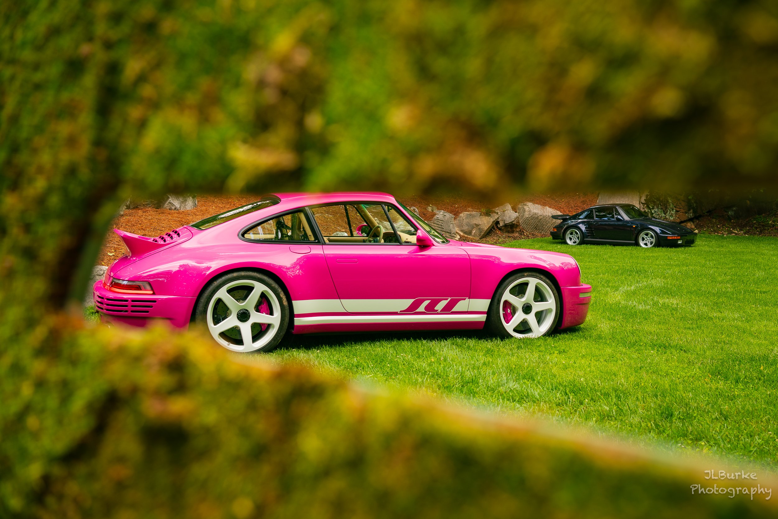 Pink RUF I-W.jpg