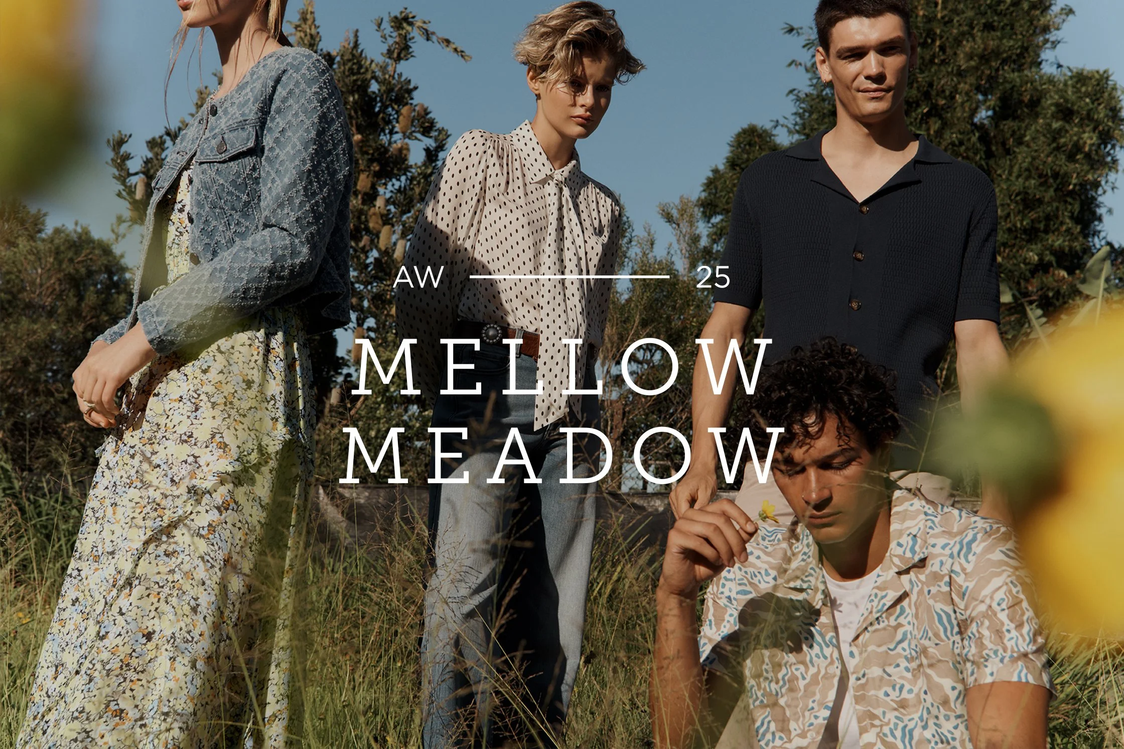 WEBSITE-PROJECT-IMAGE-MELLOWMEADOW.jpg