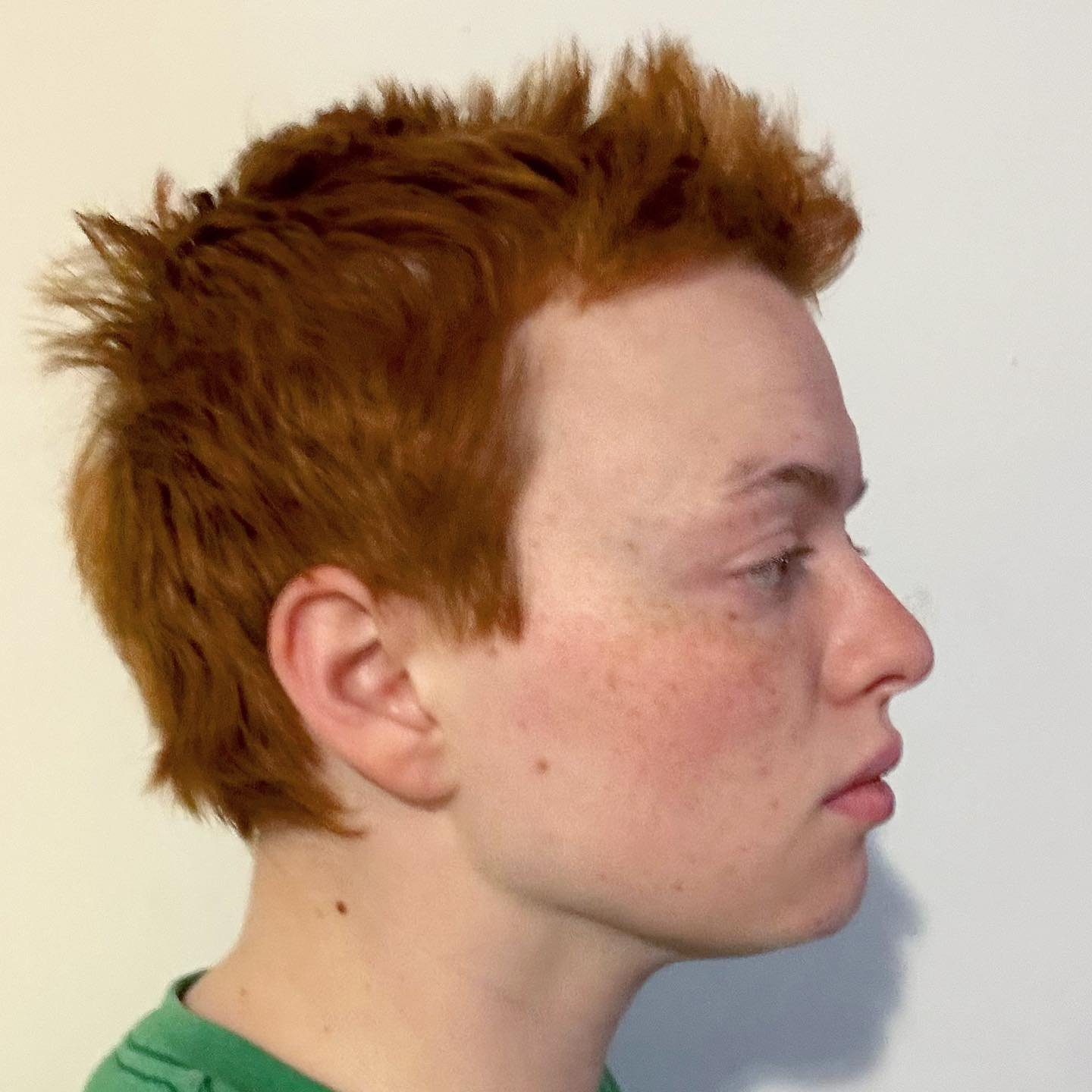 this is not a mugshot but something even more nefarious (a photo i took of the side of my head for a gig i did not book)