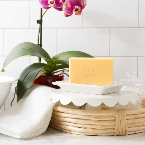French Agrumes or Citrus Bar Soap