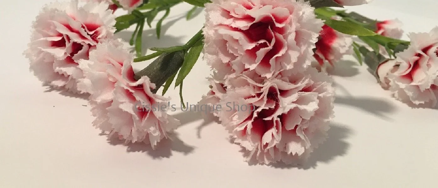 10FLLE2-5-Long-Stemmed-Red-White-Carnations-1393x600.JPG